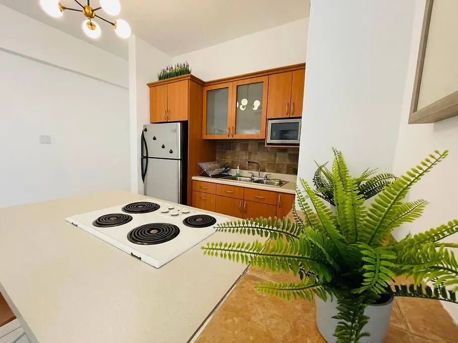 Alanis Condado Beach Apartment / 1 Minute Walking San Juan